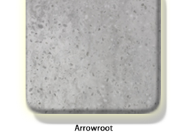 arrowroot